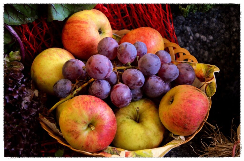 biblical fruit of the Spirt