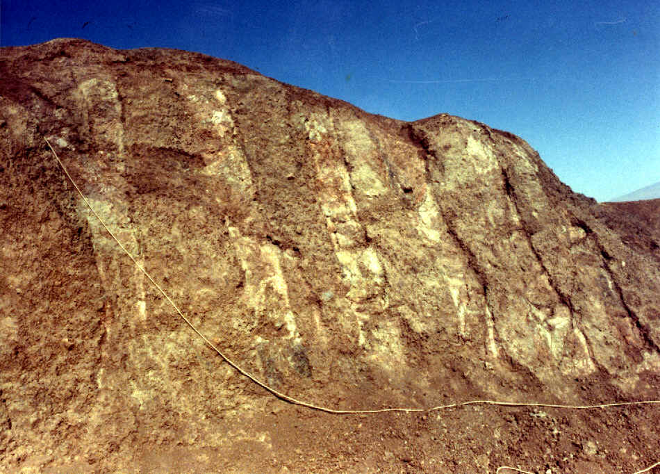Noah's Ark vertical timbers